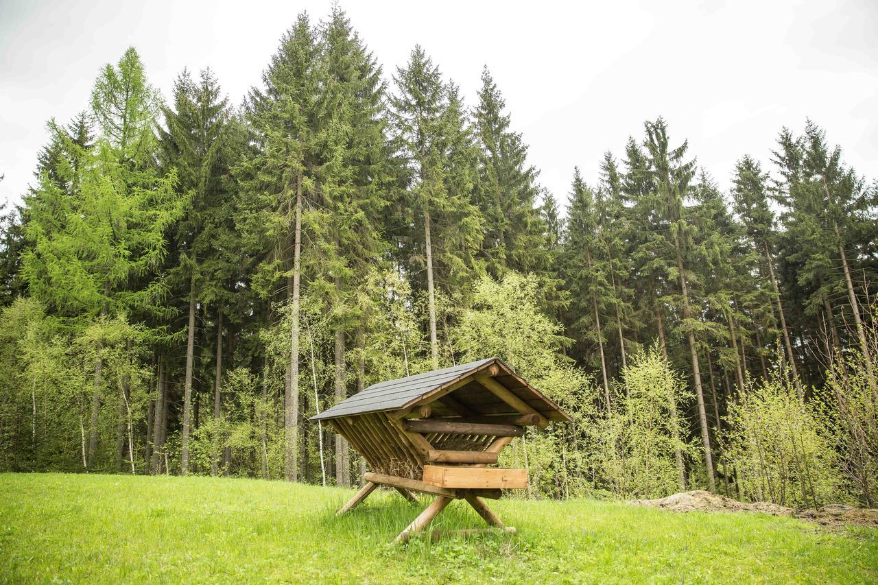 Chalet Harrachov Eksteriør bilde